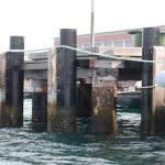 HMAS Kuttabul Condition Assessment